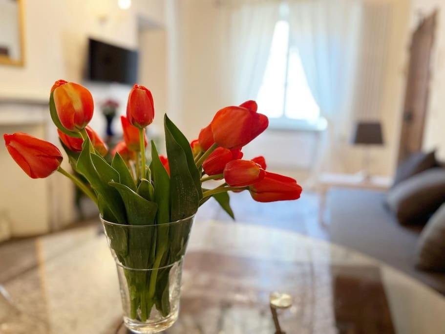 Il Canto De' Cenci Apartment Arezzo Eksteriør bilde