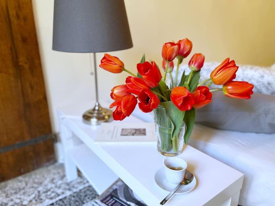 Il Canto De' Cenci Apartment Arezzo Eksteriør bilde