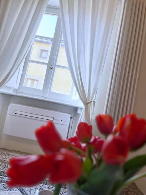 Il Canto De' Cenci Apartment Arezzo Eksteriør bilde