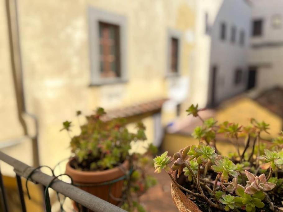 Il Canto De' Cenci Apartment Arezzo Eksteriør bilde